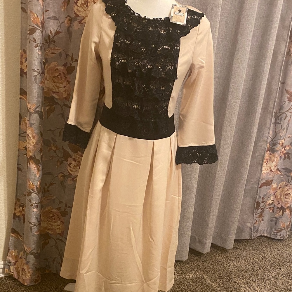 Dainty Jewells Cream and Black Midi Dress